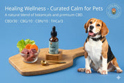 CBD Pet Tincture: The Natural Way to Support Your Pet's Health