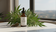 CBD Body Balm: The Ultimate Muscle & Skin Recovery Tool | Healing Wellness USA