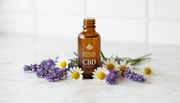 CBD for Cats: Is It Safe and What Are the Real Benefits? | Healing Wellness USA
