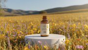 CBD for Neuropathy: Can It Relieve Nerve Pain Naturally? | Healing Wellness USA