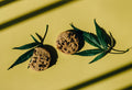 How to Make DIY CBD-Infused Recipes at Home: A 2026 Guide | Healing Wellness USA