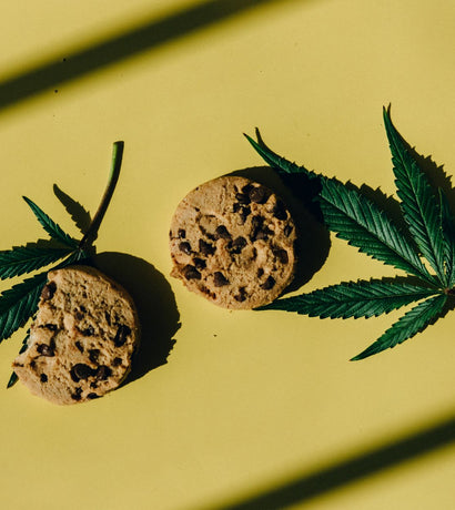 How to Make DIY CBD-Infused Recipes at Home: A 2026 Guide