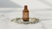 Restore CBD Hemp Oil: Everything You Need to Know About Total Body Care | Healing Wellness USA
