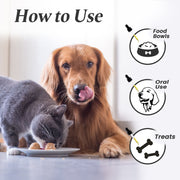 Calm Pet Drops – Natural Anxiety & Pain Support