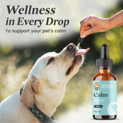 Calm Pet Drops – Natural Anxiety & Pain Support
