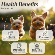 Calm Pet Drops – Natural Anxiety & Pain Support