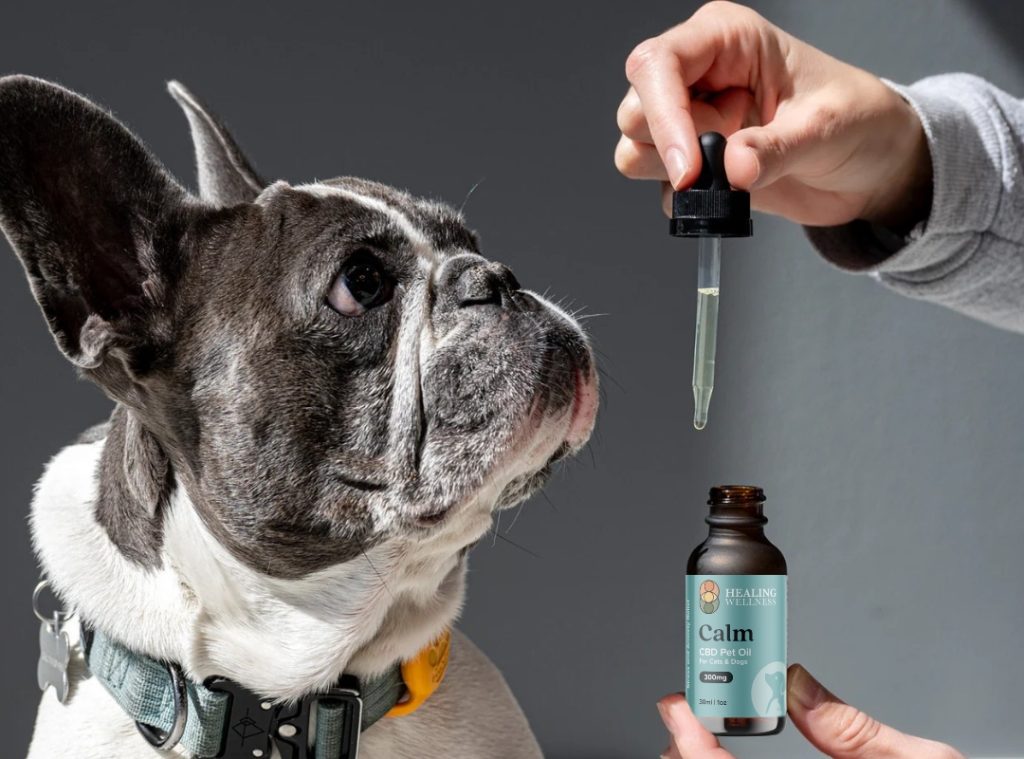 Healing Wellness – Calm Pet Drops
